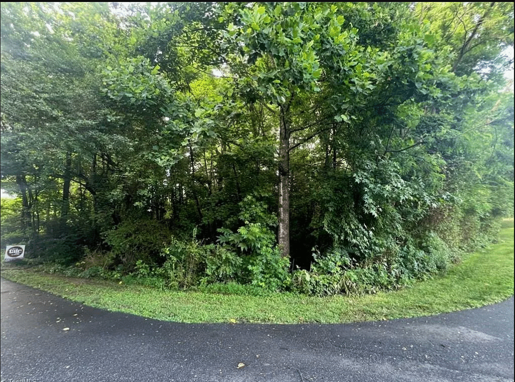 Land with lots of trees